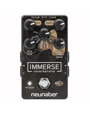 Immerse MKII reverberator...