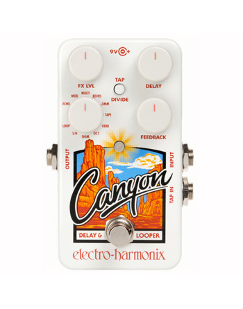 Canyon - Delay & Looper pedal