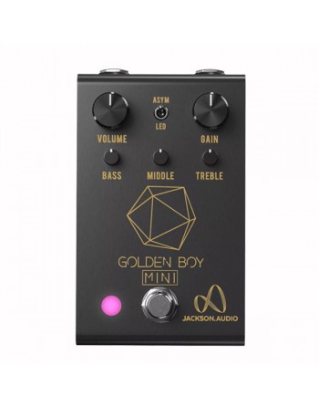 Golden boy mini (Black)-...